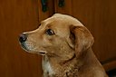 IMG_4224